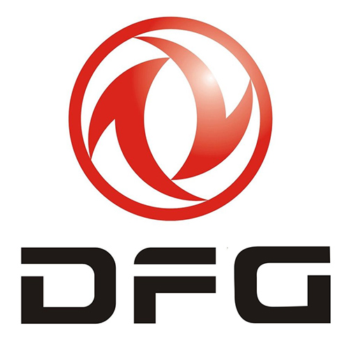 DFG